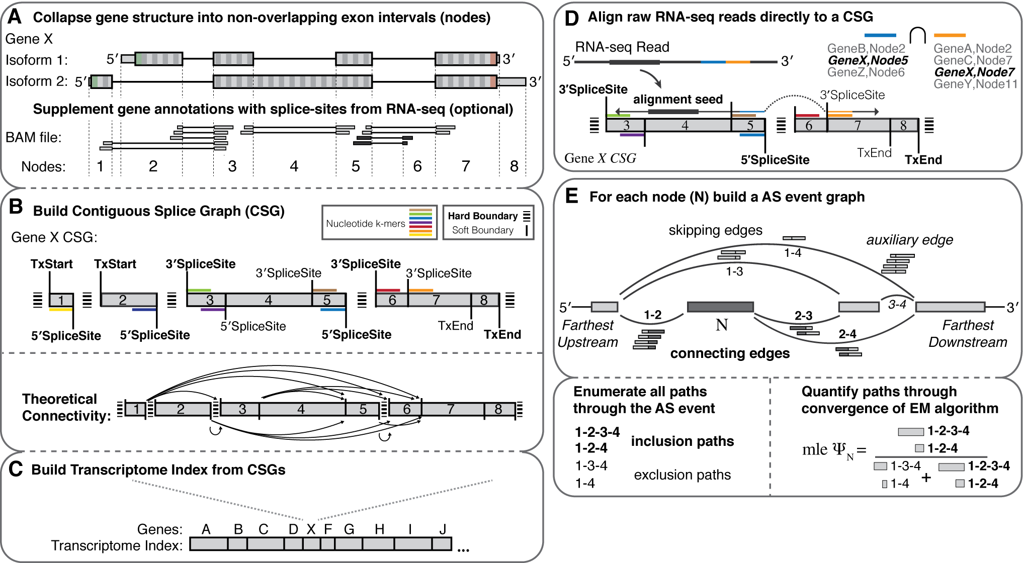 Whippet: a fast and accurate tool for AS quantification — NGS2021_AS ...